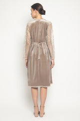 Anjani Dress in Champagne