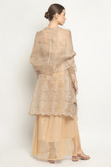 New Zenya Dress in Champagne