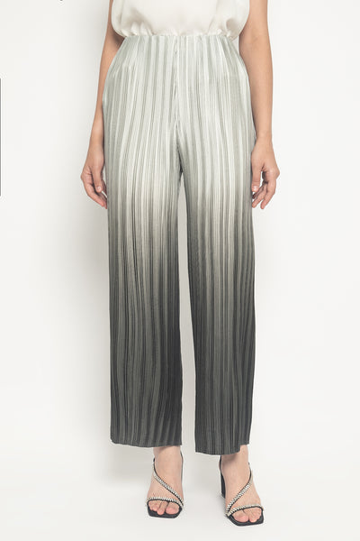 Pleated Pants in Grey