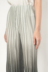 Pleated Pants in Grey