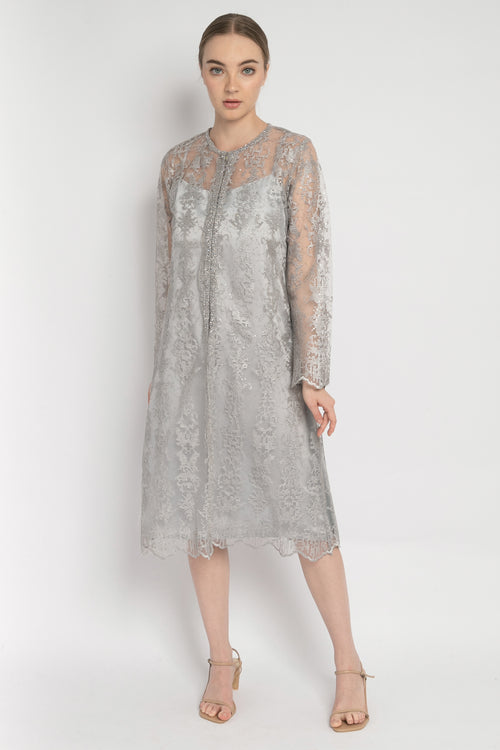 Alette Embroidered Outer Dress in Silver